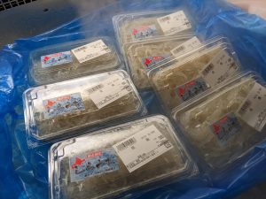 20210923110223_PXL_20210923_225633782jpg