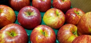 20210927110352_20210928_075428jpg