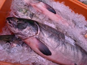 20210928113758_PXL_20210928_233125872jpg