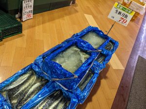 20211002110309_PXL_20211002_225815598jpg