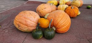 20211003111211_20211004_080333jpg