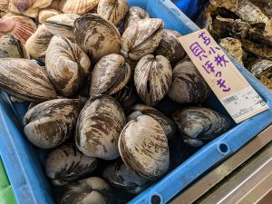 20211003111214_PXL_20211003_230831594jpg