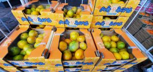 20211019111711_20211020_081030jpg