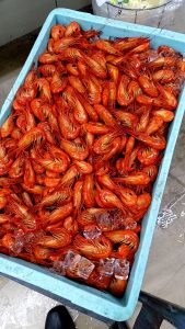 20211025112238_1635151928272jpg