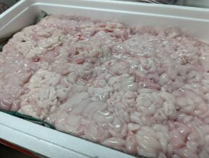 20211107113807_PXL_20211031_230728467jpg