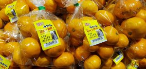 20211111104802_20211112_073813jpg