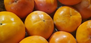 20211115110719_20211116_075733jpg