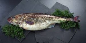 20211128104224_images_19jpeg