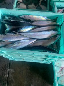 20211203113213_1638439183916jpg