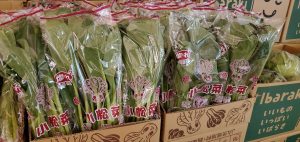 20211204102213_20211205_071432jpg