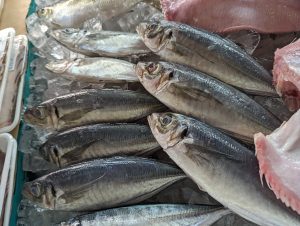 20211210112211_PXL_20211210_231737893jpg