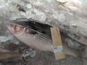 20211211111248_PXL_20211211_231026184jpg