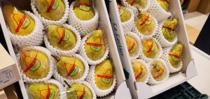 20211214121212_20211214_090401jpg