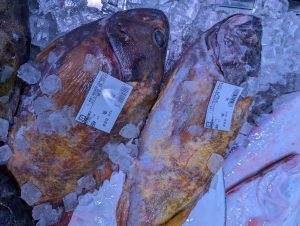 20211217114730_PXL_20211217_234213282jpg