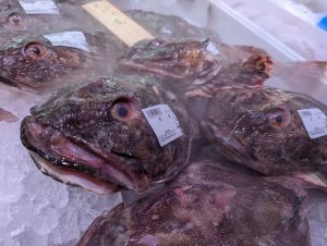 20211220113723_PXL_20211220_233039066jpg