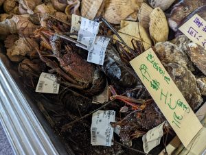 20211228113718_PXL_20211228_225922943jpg