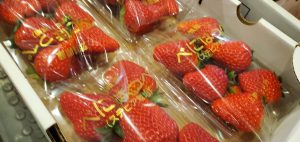 20220109031724_20220109_121406jpg