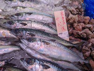 20220109114245_PXL_20220109_233638980jpg