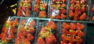 20220129103721_20220130_073233jpg