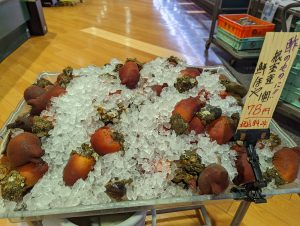 20220210115217_PXL_20220210_225549205jpg