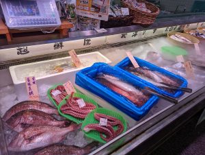 20220307123720_PXL_20220307_000540559jpg