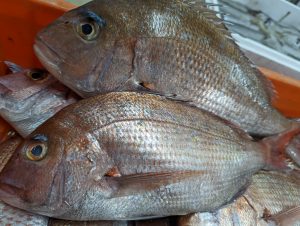 20220311112232_PXL_20220311_231900059jpg