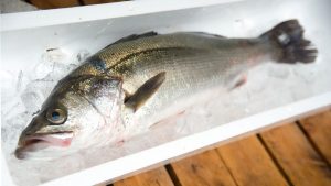 20220319113233_suzuki-1jpg