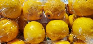 20220322110228_20220323_075526jpg