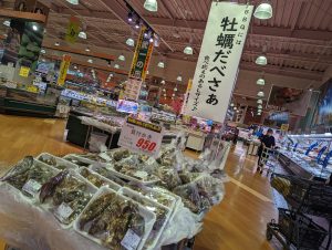 20220504092234_PXL_20220503_233248956jpg