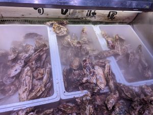 20220510093737_PXL_20220507_093923955jpg