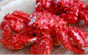 20220709103802_images_4_14jpeg