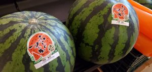 20220709110256_20220710_075842jpg