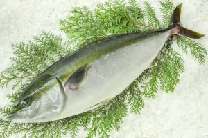 20220714102257_images_4_17jpeg