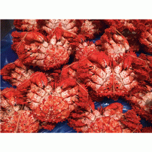 20220724111838_82019gif