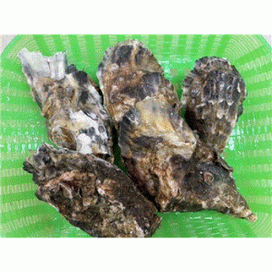 20220729072902_82039gif